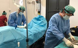 hospital veterinario de referencia para caballos en córdoba horpitalizacion terapias regenerativas traumatologia cojeras